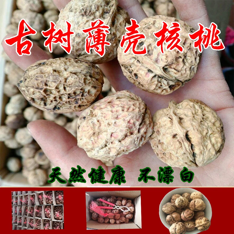 （新货干核桃2025年新货）云南薄皮核桃纸皮山核桃孕妇坚果零食