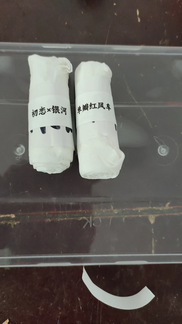 麻点芙蓉种子，初恋杂银河一份，单瓣红风车一份、一份不少于30粒