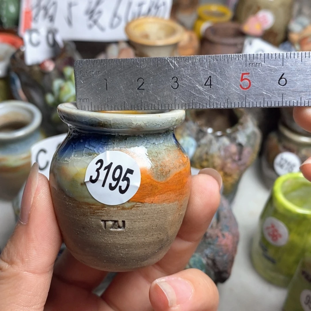 拍5送一个小礼物