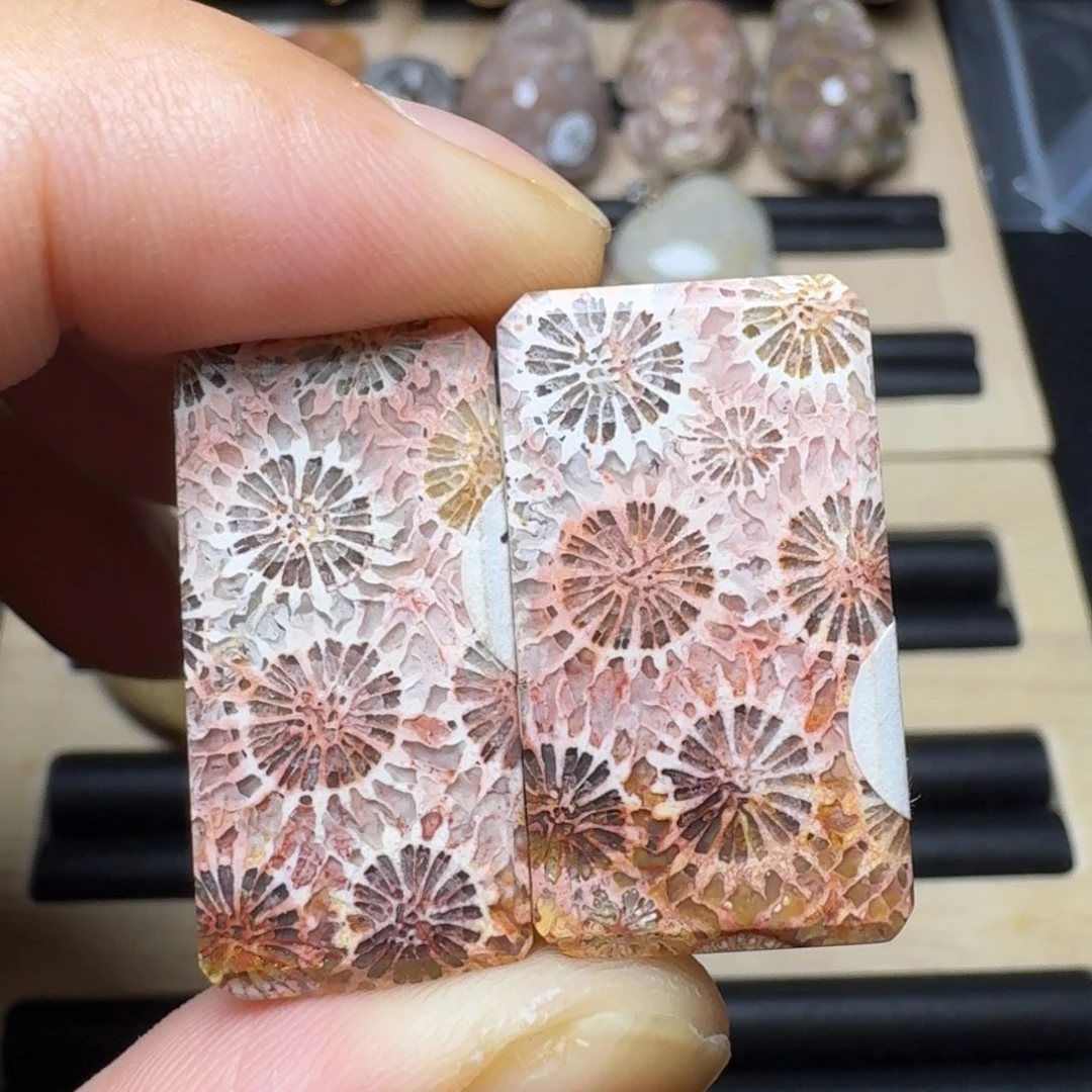 硅化珊瑚（珊瑚玉）未镶嵌纯天然色有机玉石保真色