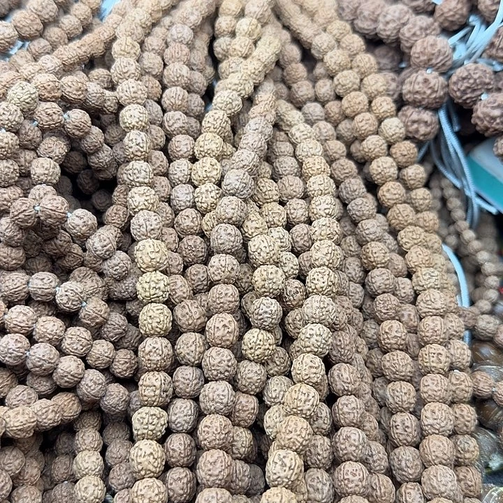 吊坠金刚菩提一代龙10条尺寸随机