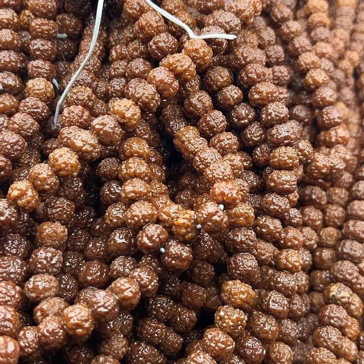 手串金刚菩提树祖没有钢丝刷不保