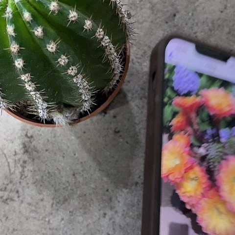 激流，高6-10公分左右