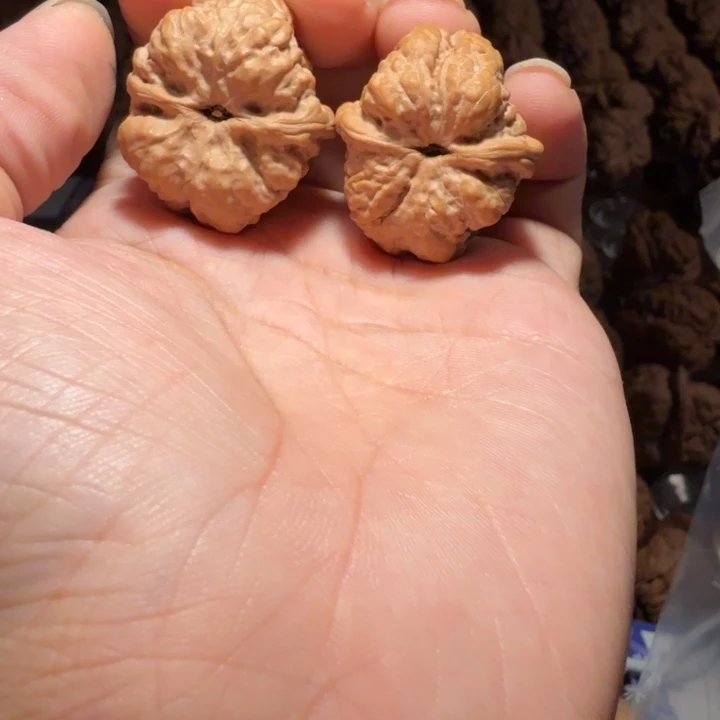 J***r吊坠文玩核桃蛤蟆的眼睛是真的好看