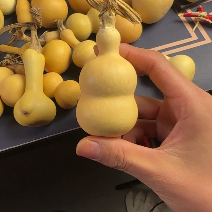 一***人大叶紫檀（黑酸枝木类）