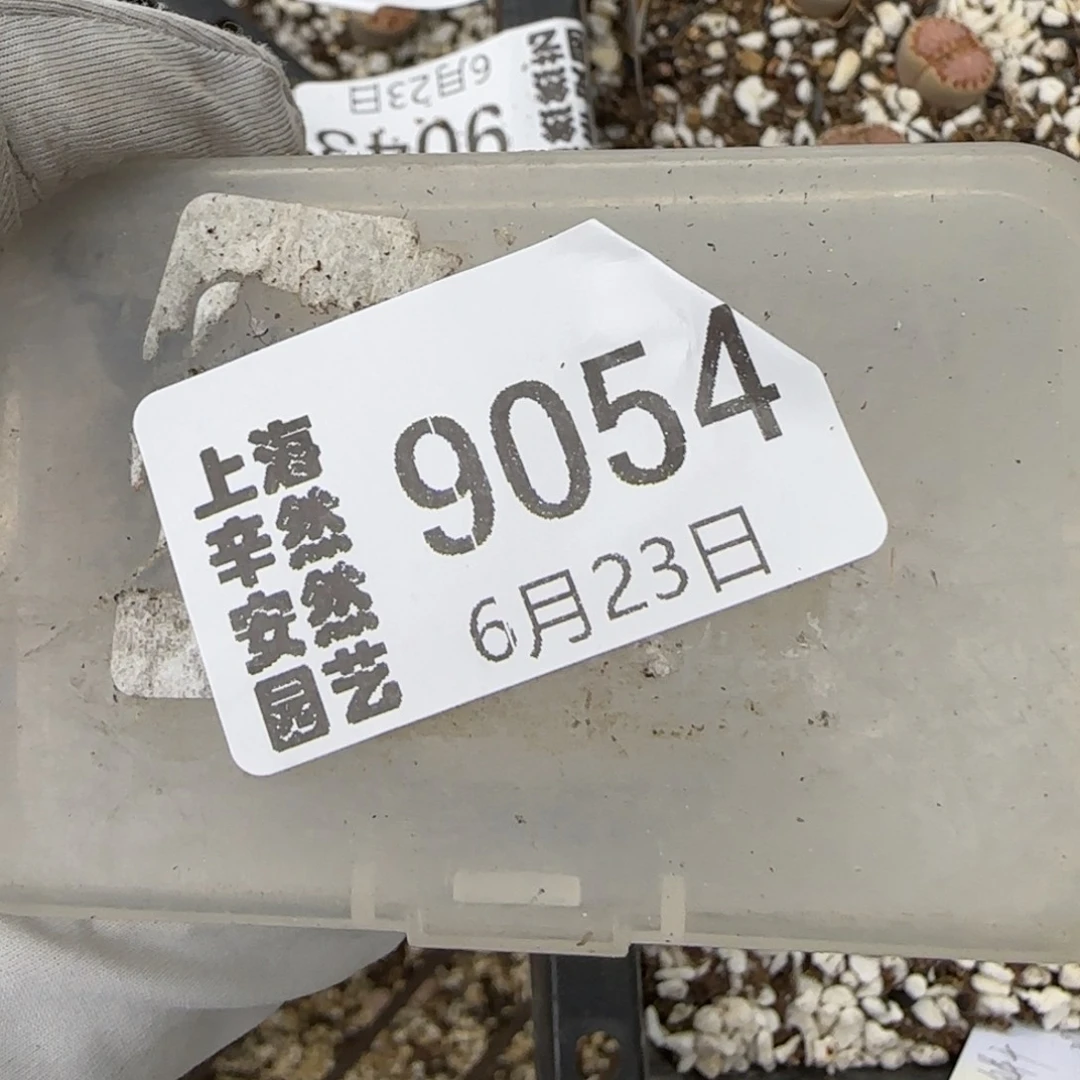 、****6.23。217。1。.013。2高9054