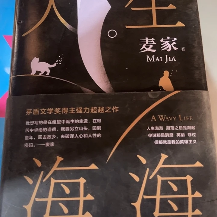 人生海海新书推荐精装