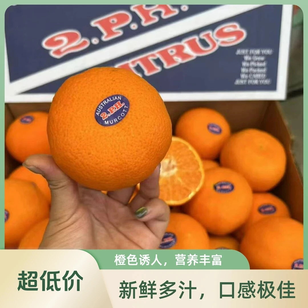 澳洲空运2PH澳橘水果辽宁省