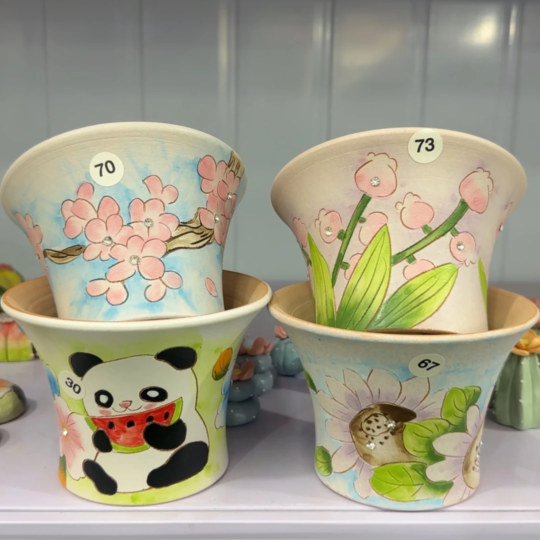 红陶田小姐多肉花盆