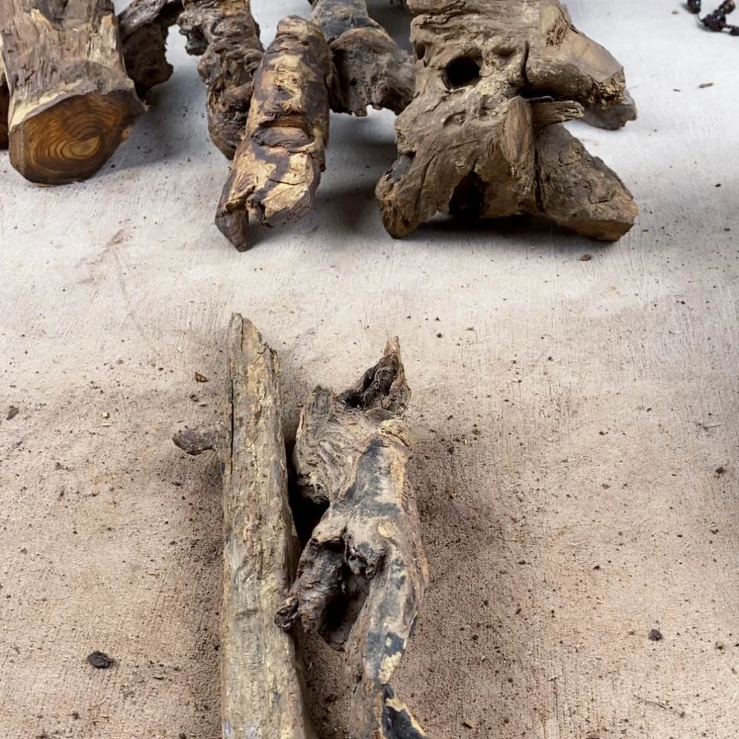 s***@黄花梨/降香黄檀降香黄檀黄花梨