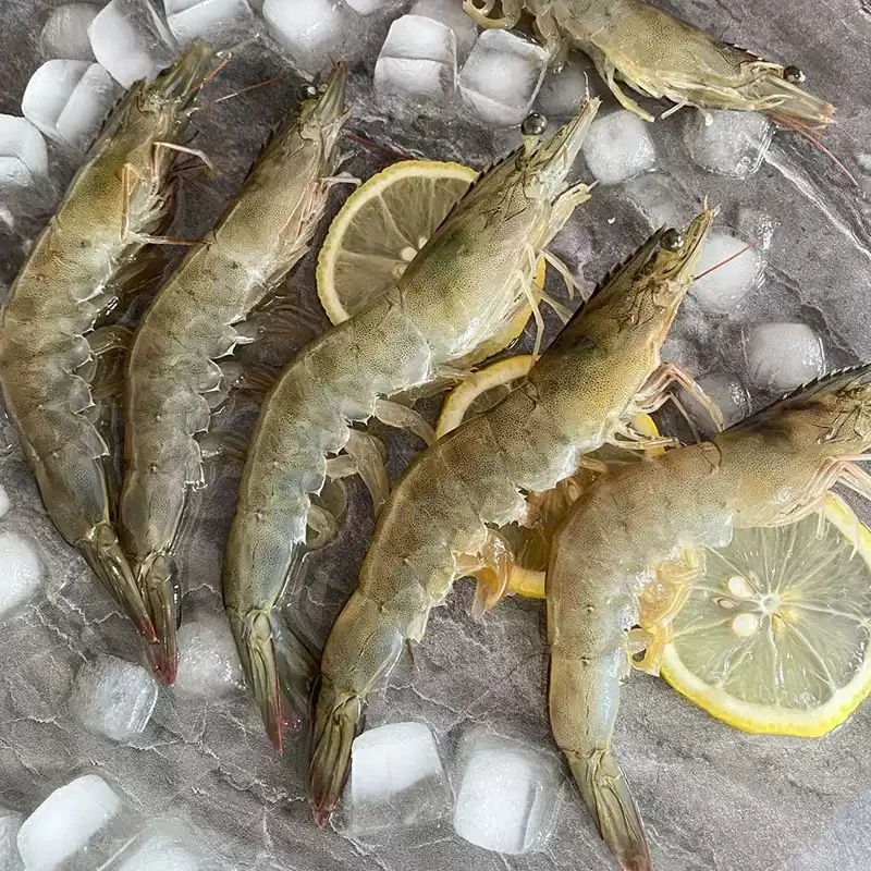 3斤海水大虾 约15-18cm/只  排盘单冻非活发