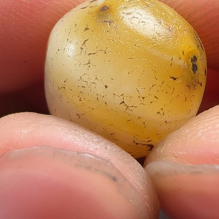 我们都是在这里看到的啦我们