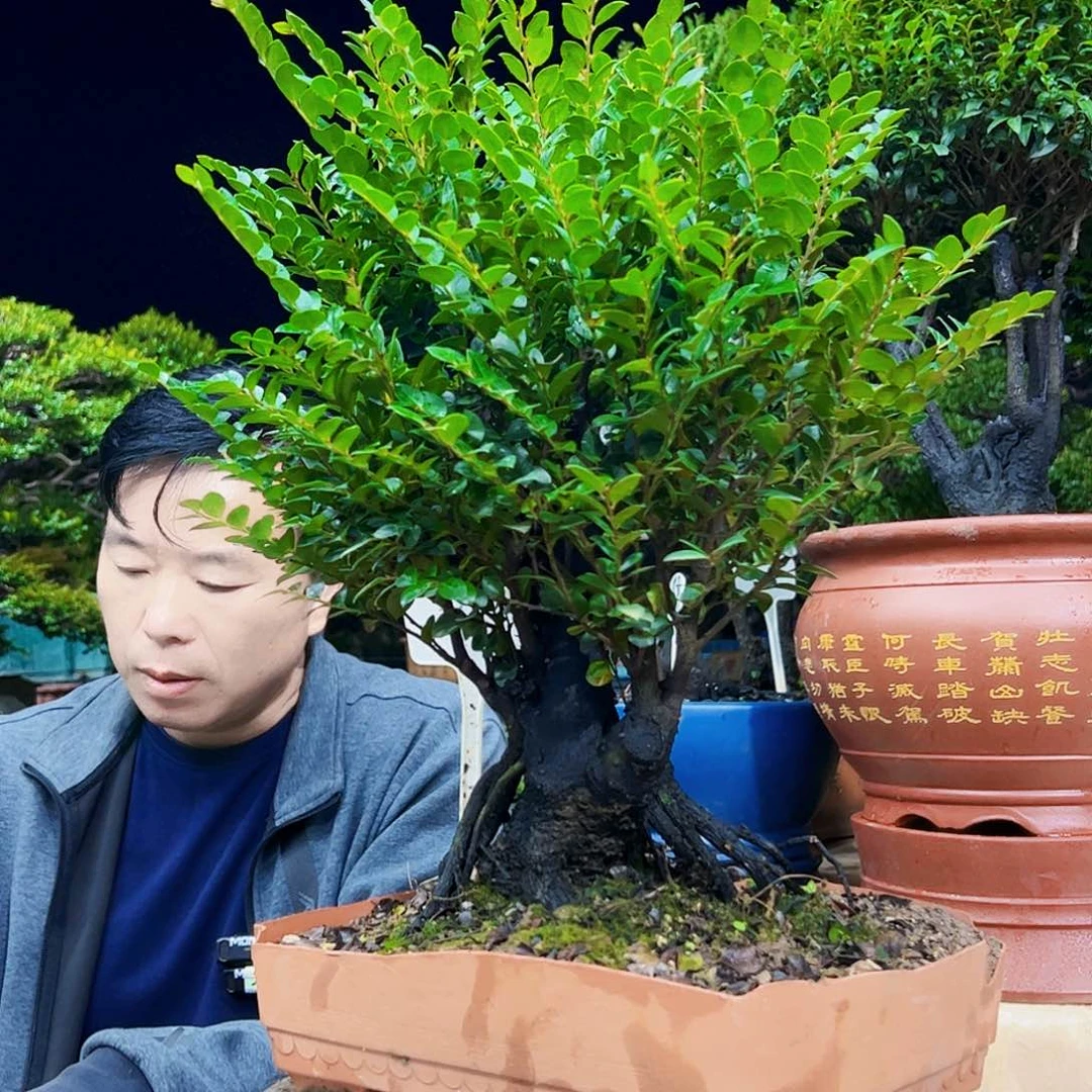 以实际为准文*12345678