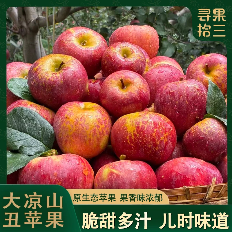 【丰收季】四川大凉山盐源丑苹果冰糖心脆甜多汁新鲜当季水果