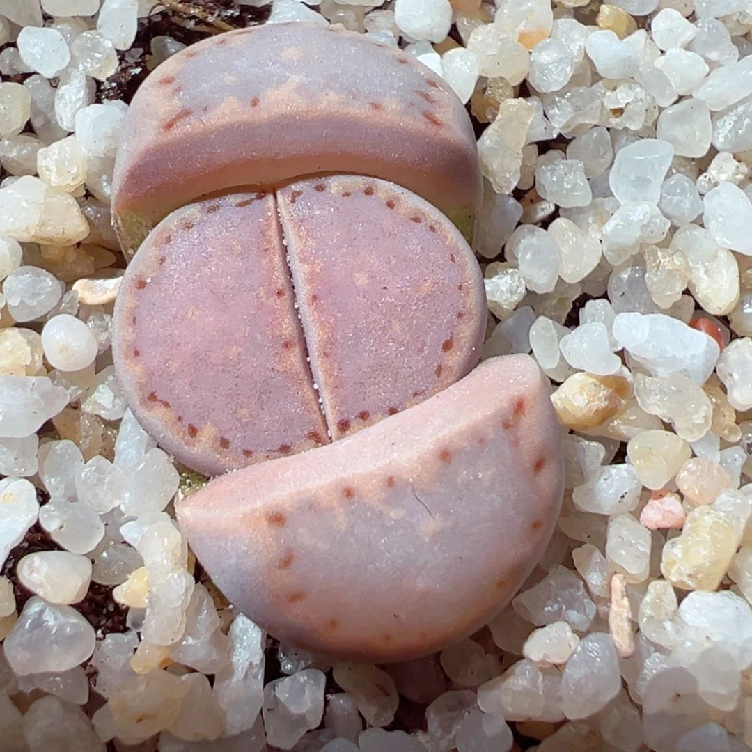 206-374.多喝点热水