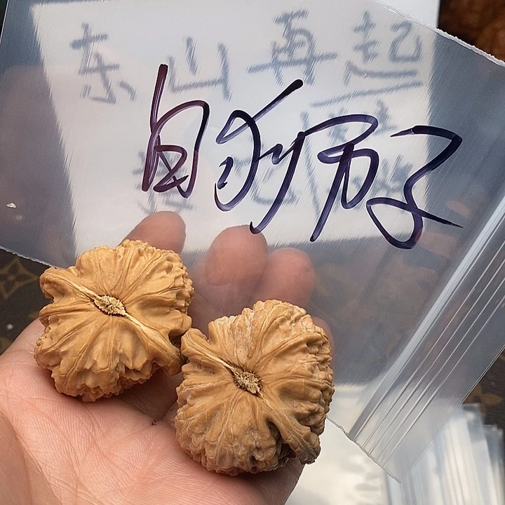 吊坠文玩核桃w79497449649649697497