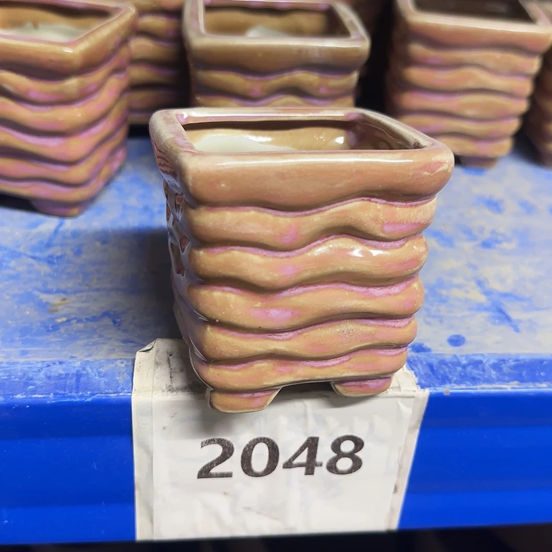 福利局［凑9元包邮24小时发］2048