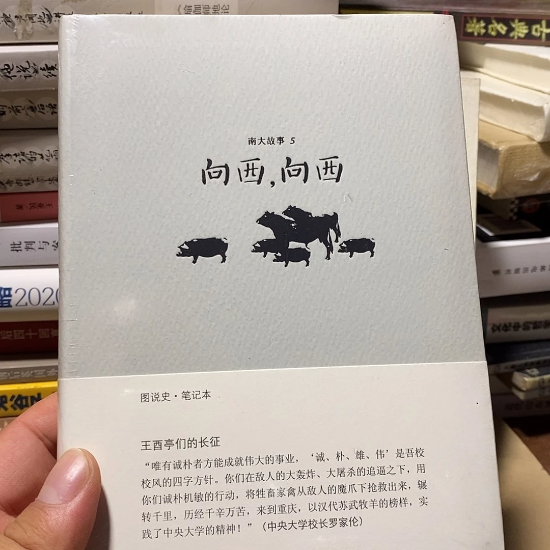 向西什么方向的向西