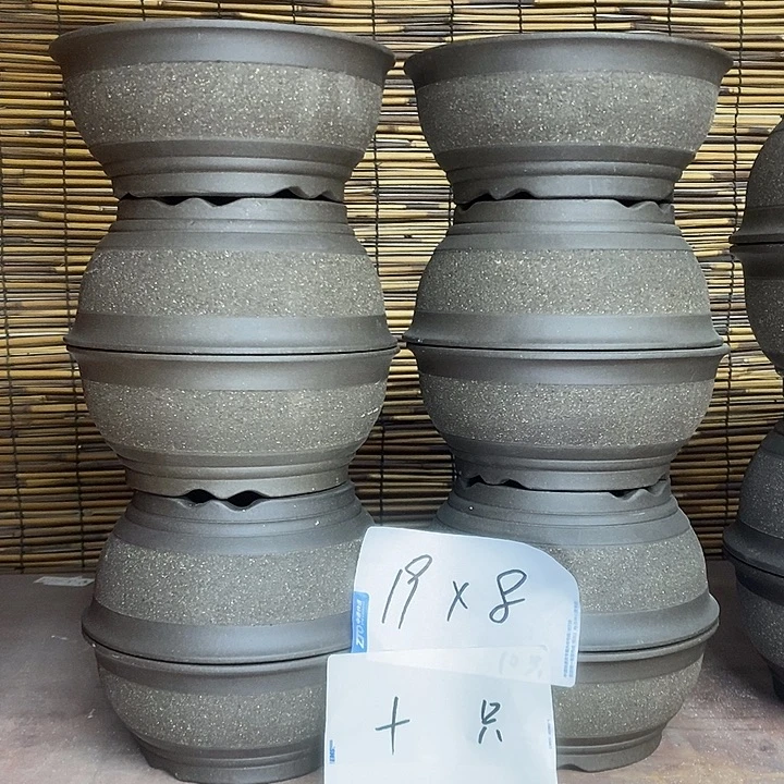 紫砂花盆我在外面