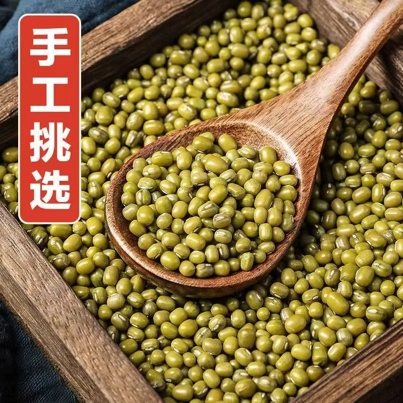 东北农家当季新货可发芽绿豆颗粒饱满适合熬绿豆汤做豆芽