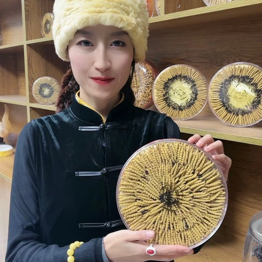 【珍珍专属】中草 福利精品0.5-0.6克鲜冬虫夏草冷链直发 新