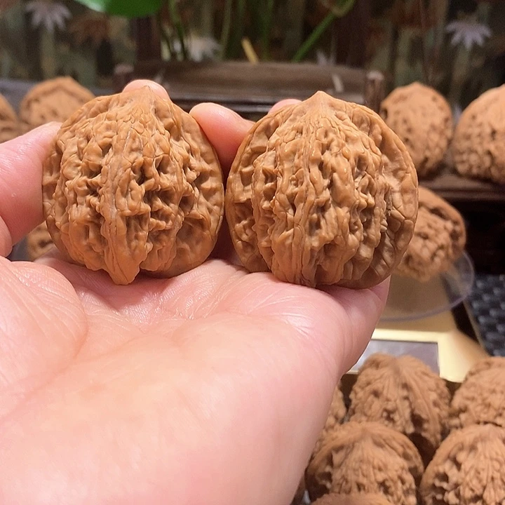 查**人百年老树堂虎核桃