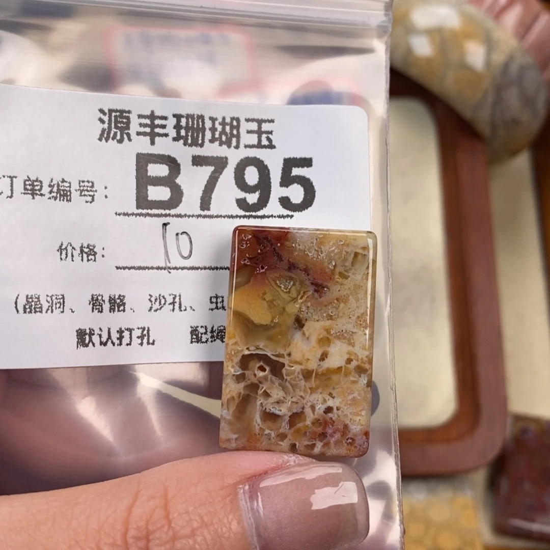 硅化玉颈饰未镶嵌珍**康
