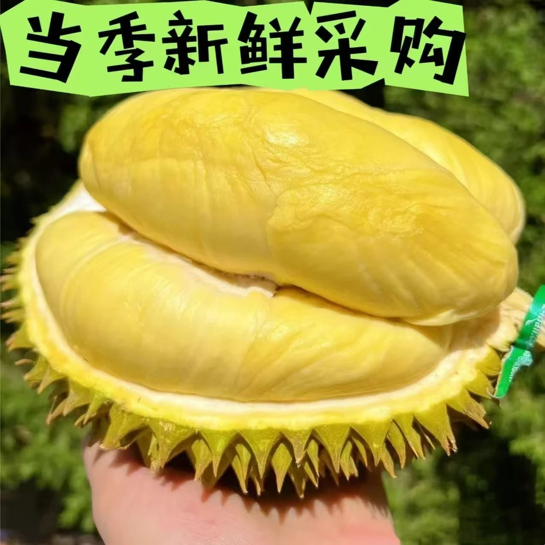 【猪猪手选】小猫山干尧，鲜榴莲现开，一果一拍果核小，2-9斤干尧越南