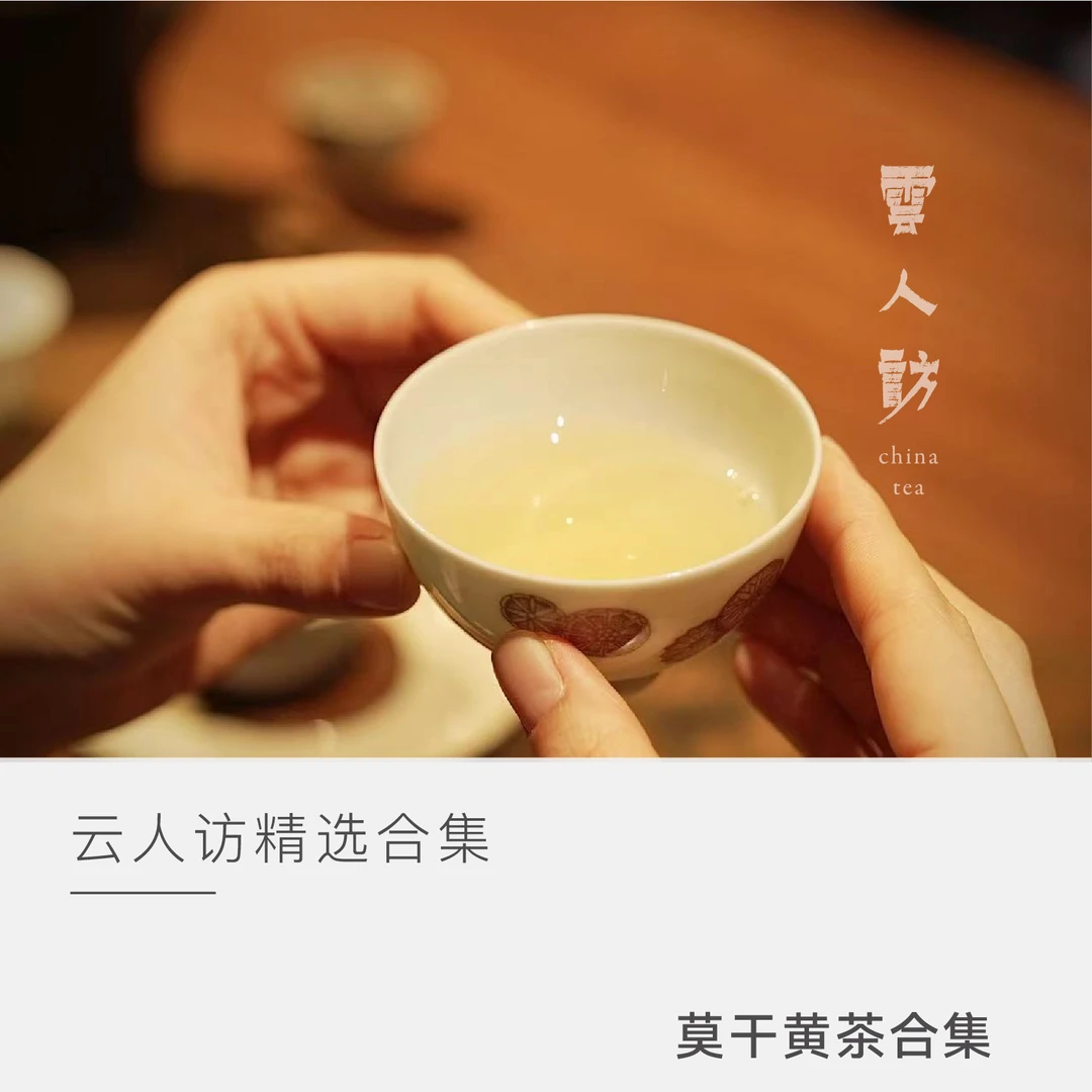 【云人访】雲鹤 茶叶黄茶  莫干黄茶合集