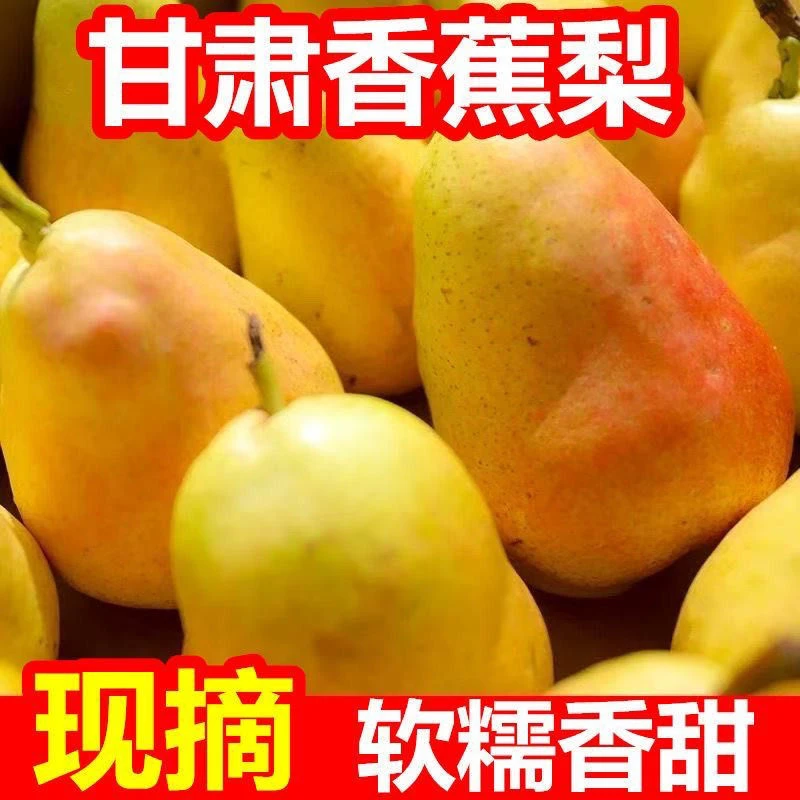 甘肃天水香蕉梨 太婆梨 软糯香甜 果园现摘现发