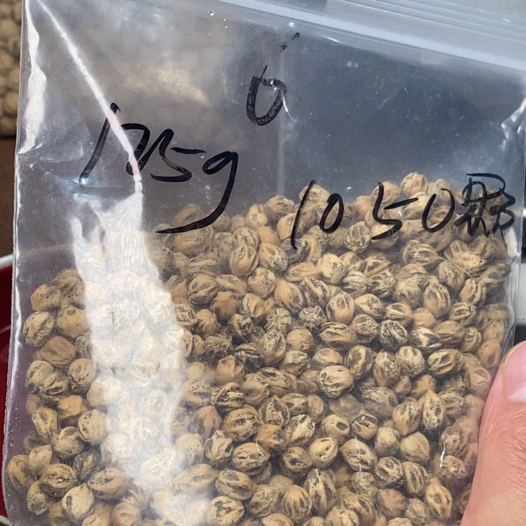 柏香籽/百香籽吊坠