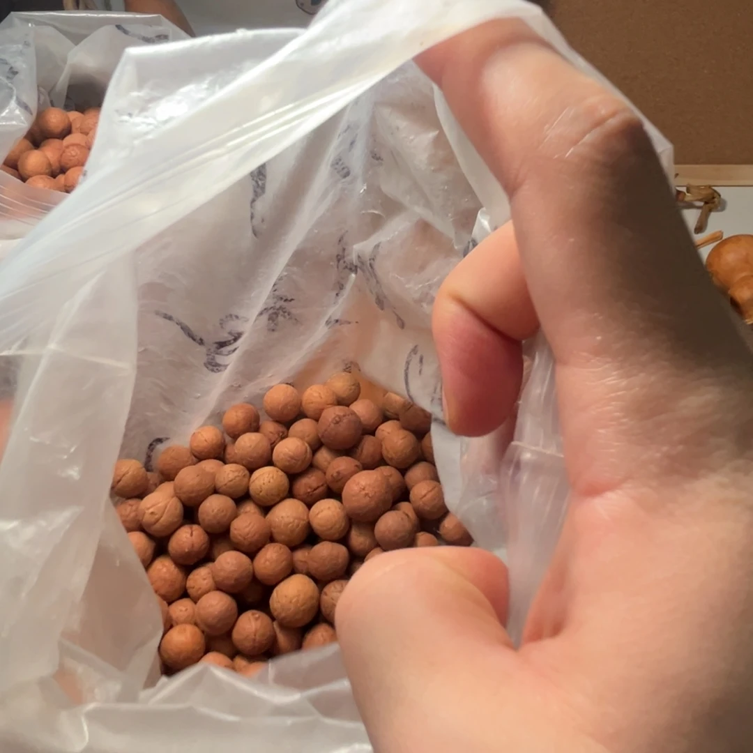 凤眼菩提吊坠散籽，不退不换