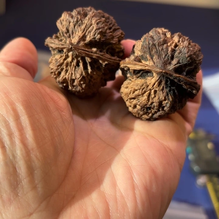 文玩核桃吊坠古树蛤么