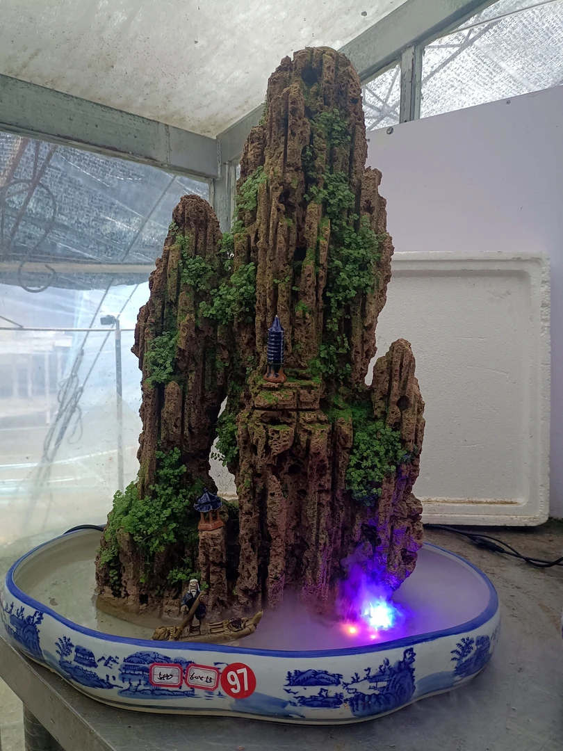 高60盆长53高山流水吸水石绿植盆景