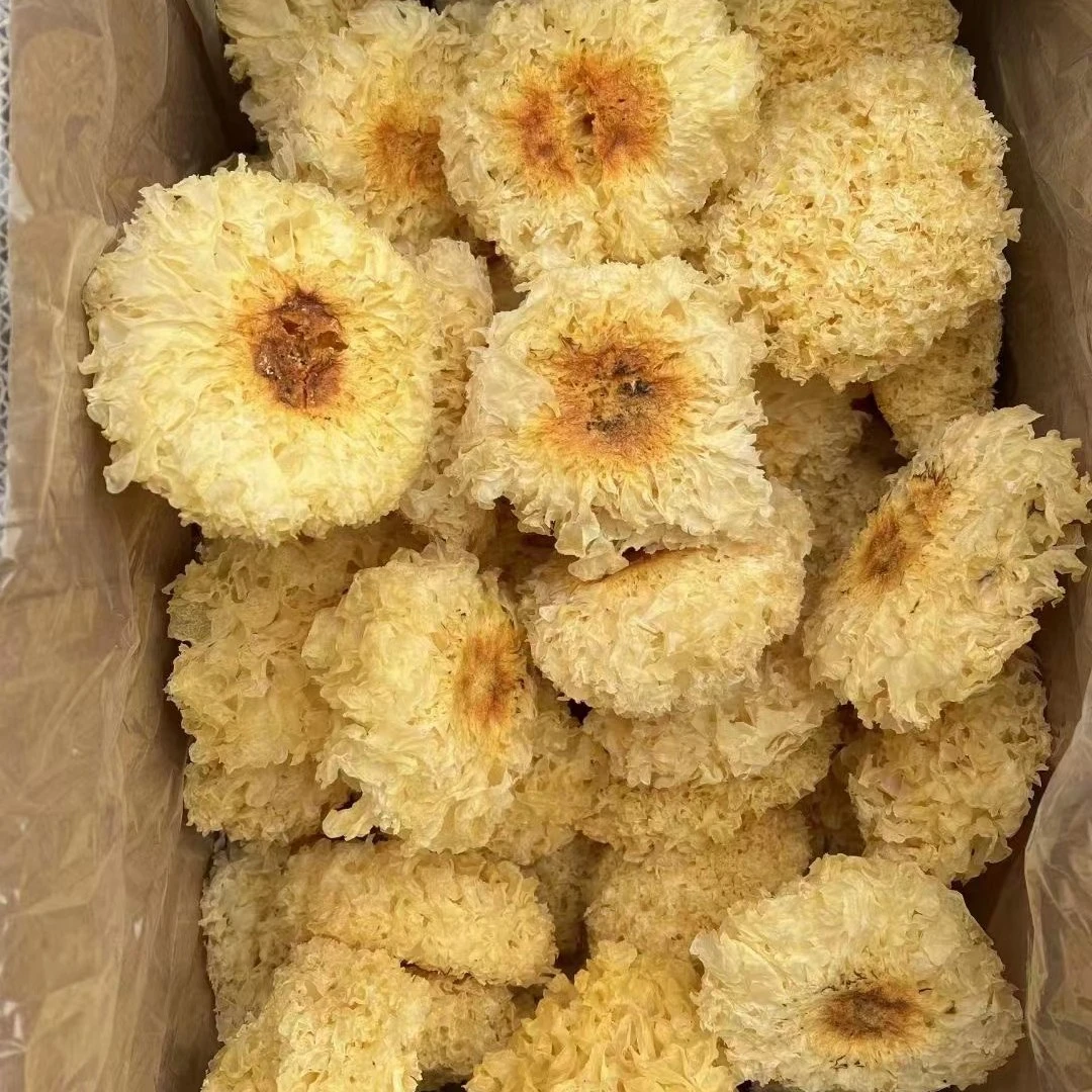 【御膳】古田银耳 广东汕头