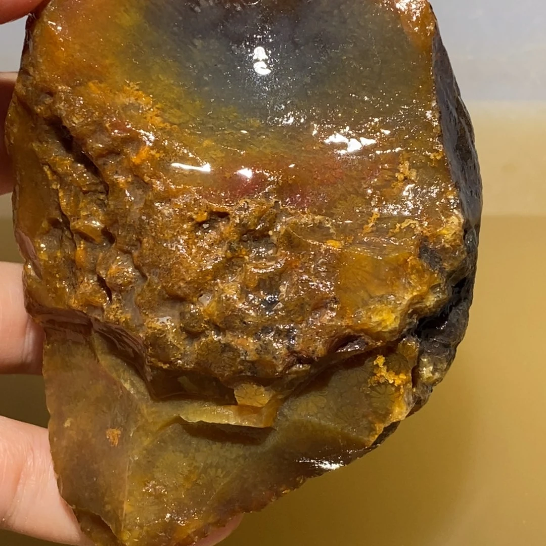 【闪购商品】硅化玉珊瑚玉未镶嵌