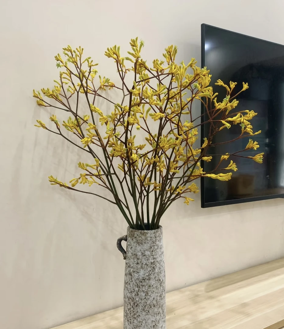 【袋鼠爪鲜花】云南昆明基地 幸运 高雅 超长待机