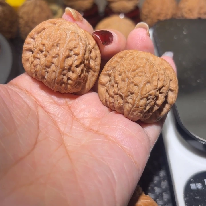 把件文玩核桃36全品血麒麟
