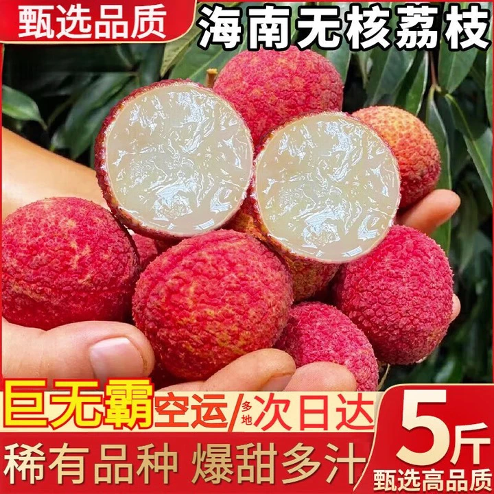 顺丰空运包邮海南火山无核荔枝当季新鲜水果孕妇儿童营养