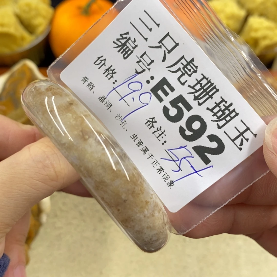 硅化珊瑚（珊瑚玉）1未镶嵌邹*