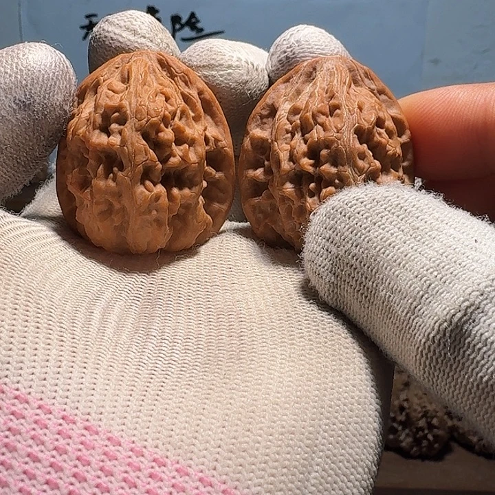 秦岭野生无名核桃