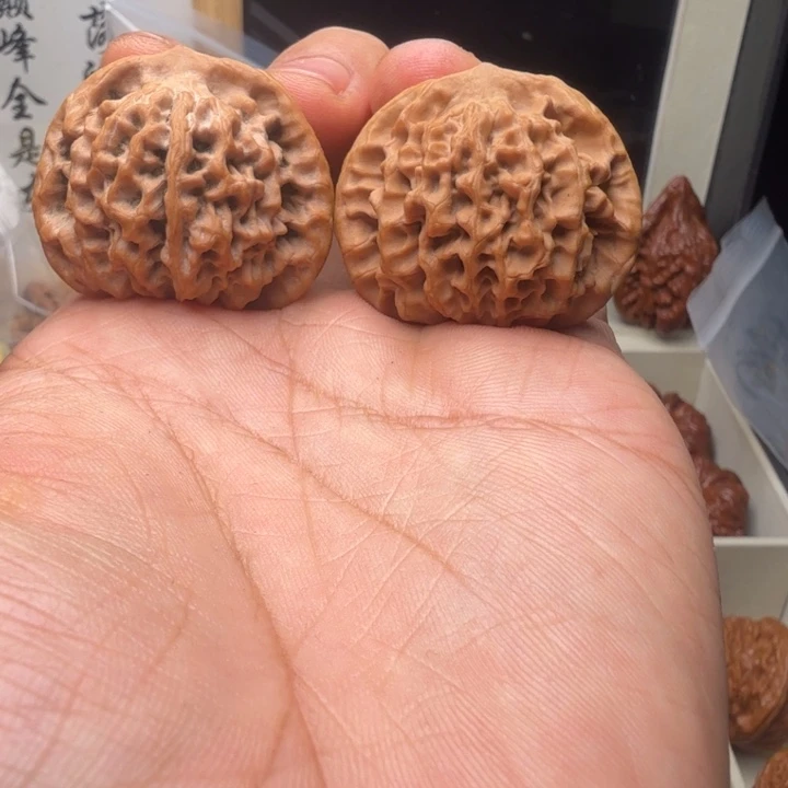 36尺寸宝鸡秦闷狮子头