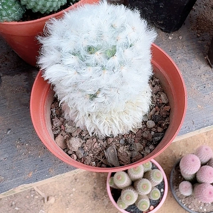 D***p哈哈哈哈哈哈哈哈哈哈