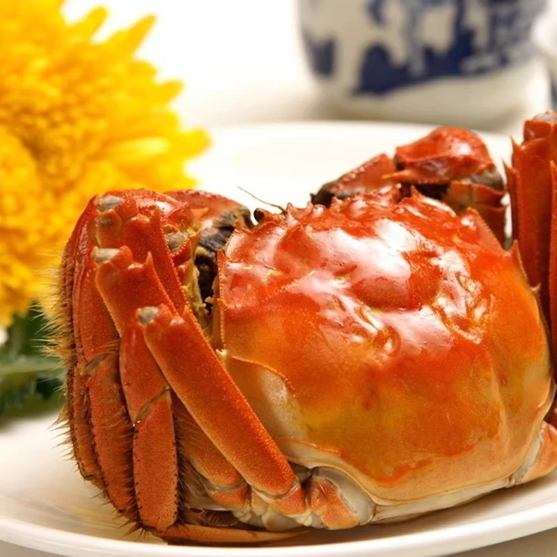 【活蟹】江苏大闸蟹 公蟹4.5-4.2两 母蟹3.5-3.2两 8只送2只 京东顺丰冷链