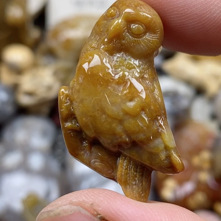 颈饰未镶嵌硅化珊瑚（珊瑚玉）小