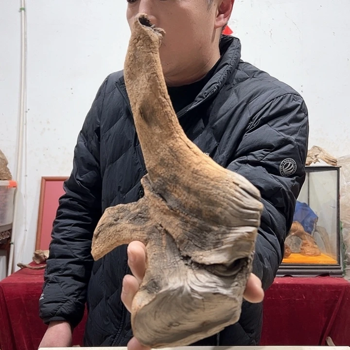 柏木一***韵我们都是好孩子呀我