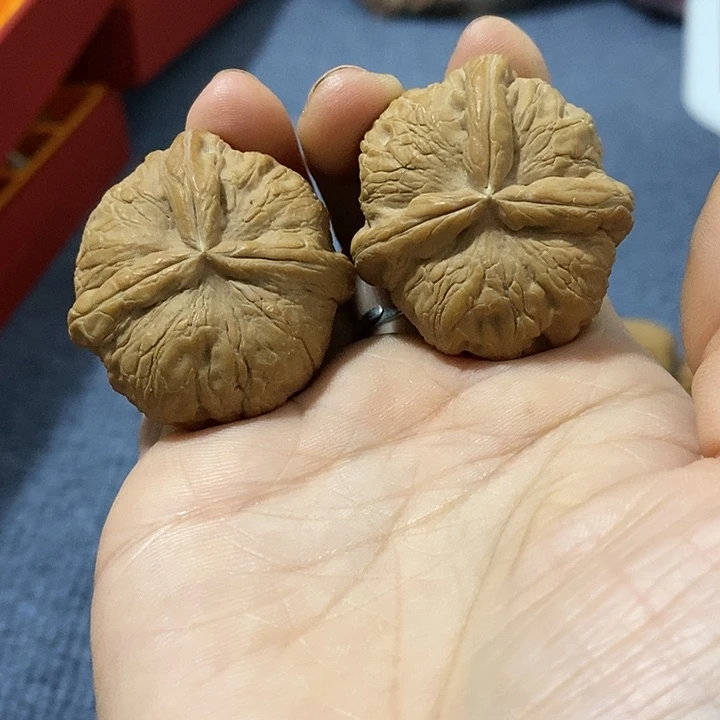 海***涵手串文玩核桃元宝三棱