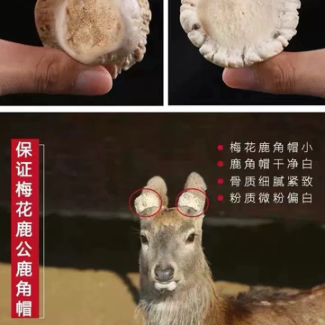 双阳原产地养殖鹿一鹿角帽
