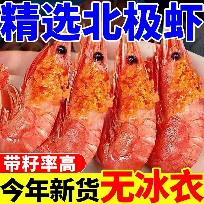 【头籽北极熊】头籽北极甜虾80-100/kg北极熊头籽深海冰虾净重
