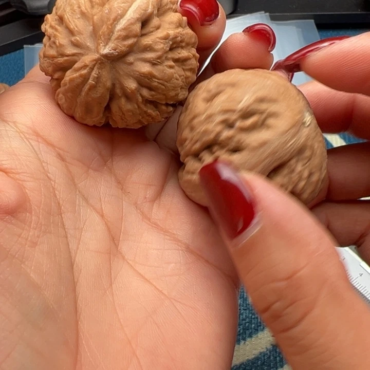 桃核吊坠文玩霸王龙